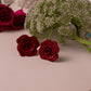 Aretes Rose