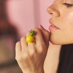 Anillo Piña