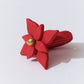 Earcuff Flor de Navidad
