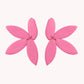 Aretes Catalina Mini